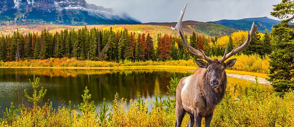 Indian Summer in Kanada