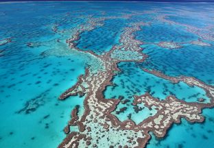 Great Barrier Reef Australien