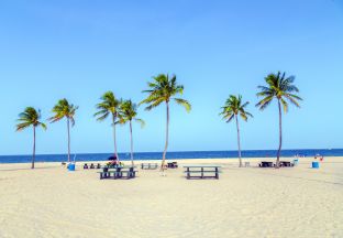 Palmen Fort Lauderdale Flughafen