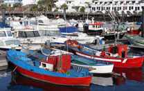 Lanzarote mit dem Schiff entdecken